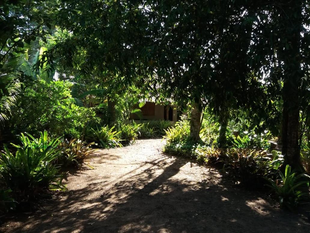 Vila Prosperidade Trancoso Buitenkant foto
